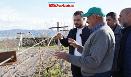 Başkan Bal, Üzüm Üreticilerini Ziyaret Etti