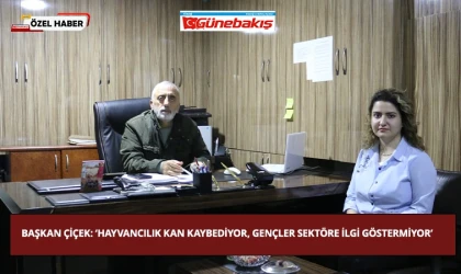 Başkan Çiçek: ‘Hayvancılık Kan Kaybediyor, Gençler Sektöre İlgi Göstermiyor’