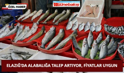 Elazığ’da Alabalığa Talep Artıyor, Fiyatlar Uygun