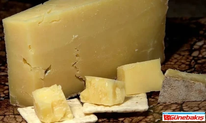 Kaşar Peyniri, Bal ve Zeytinyağında Hile Tespiti!