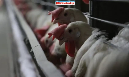 Şenpiliç’in Köftesindeki Bakteri Alarmı! Bakanlık Harekete Geçti