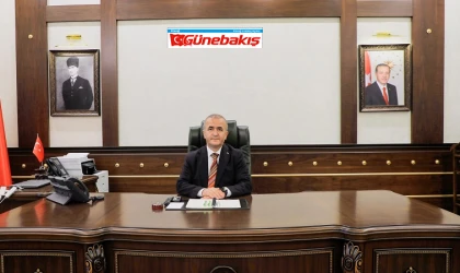 Vali Hatipoğlu’ndan Sokak Hayvanları İçin Yeni Adım