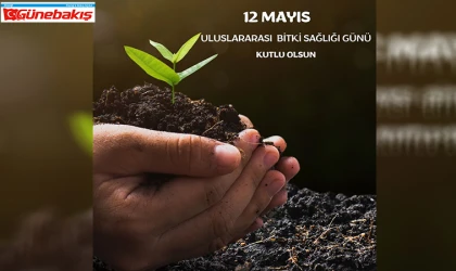 12 Mayıs Uluslararası Bitki Sağlığı Günü: Sağlıklı Bitkiler, Sağlıklı Gelecek