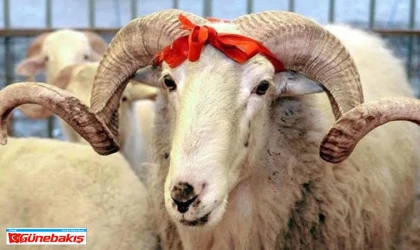 2025 Yılı Kurban Hizmetleri Tebliği Yayımlandı