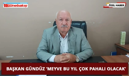 Başkan Gündüz: ‘Meyve Bu Yıl Çok Pahalı Olacak’