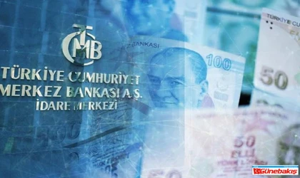  Dövize Karşı Kalkan: TL İçin Yeni Dönem