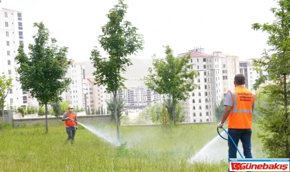 Elazığ Belediyesi, İlaçlama Çalışmalarını Aralıksız Sürdürüyor