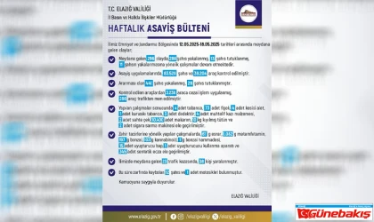 Elazığ’da 1 Haftada 296 Asayiş Olayı