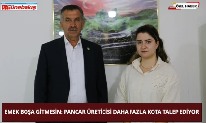 Emek Boşa Gitmesin: Pancar Üreticisi Daha Fazla Kota Talep Ediyor