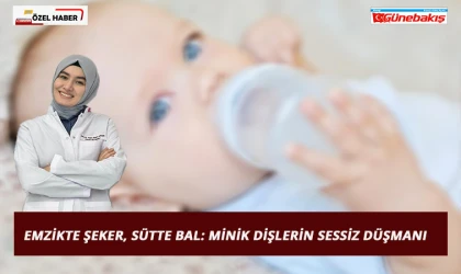 Story Haber