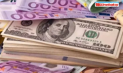 ING Bank: Dolar 2025 Sonunda 43 TL Olabilir