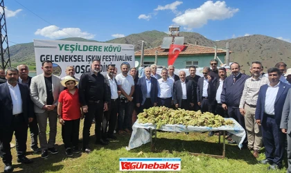 Işkın ve Dayanışma Festivali Yeşildere’de Coşkuyla Kutlandı