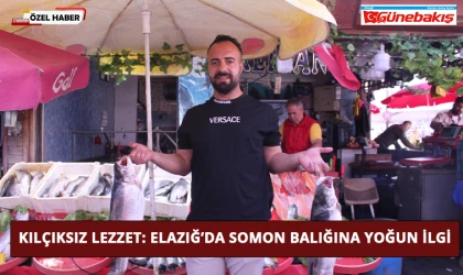 Kılçıksız Lezzet: Elazığ’da Somon Balığına Yoğun İlgi