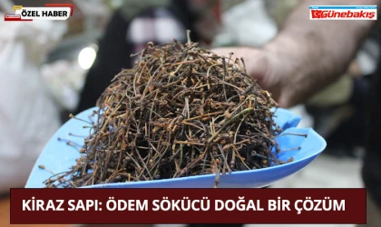 Kiraz Sapı: Ödem Sökücü Doğal Bir Çözüm