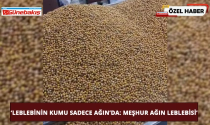 ‘Leblebinin Kumu Sadece Ağın’da: Meşhur Ağın Leblebisi’
