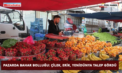 Pazarda Bahar Bolluğu: Çilek, Erik, Yenidünya Talep Gördü