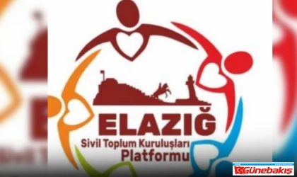 Van-Elazığspor Maçı Gerginliği: STK Platformu’ndan ‘Kara Gece’ Yorumu