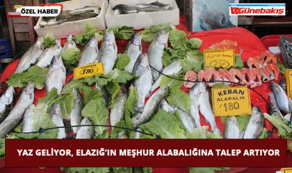 Yaz Geliyor, Elazığ’ın Meşhur Alabalığına Talep Artıyor