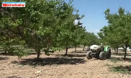 Zirai Don Destek Ödemeleri Bayram Sonrası Yapılacak