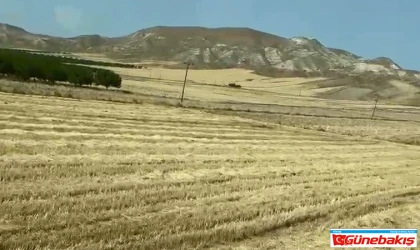 2025’in İlk Arpa Hasadı Elazığ Baskil’de Gerçekleşti