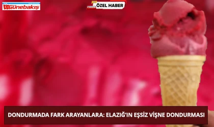 Dondurmada Fark Arayanlara: Elazığ’ın Eşsiz Vişne Dondurması