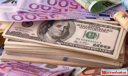 Döviz Haftaya Artışla Başladı