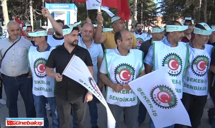 Geçim Zorlaştı, Tepki Yükseldi: Şeker Fabrikası İşçileri Eylemde