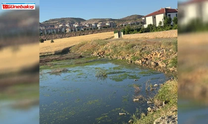 Güneykent Holpenk Toki’de Çevre Sağlığı Alarm Veriyor: Kanalizasyon Taştı, Mahalle Halkı Tedirgin