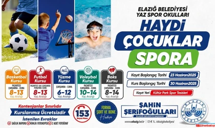 Karneler Alındı, Şimdi Sıra Yaz Okulunda!
