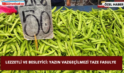 Lezzetli ve Besleyici: Yazın Vazgeçilmezi Taze Fasulye