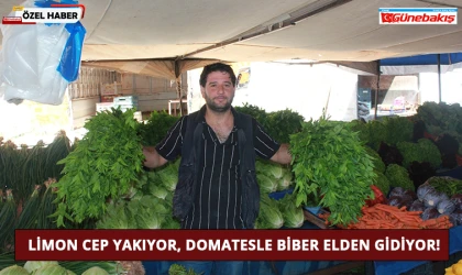 Limon Cep Yakıyor, Domatesle Biber Elden Gidiyor!