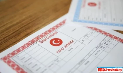 Notersiz Miras Paylaşımı Kadınları Zor Duruma Sokuyor