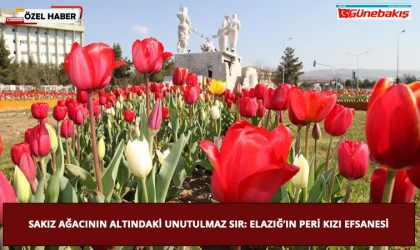 Sakız Ağacının Altındaki Unutulmaz Sır: Elazığ’ın Peri Kızı Efsanesi