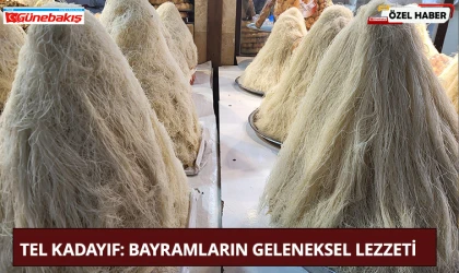 Tel Kadayıf: Bayramların Geleneksel Lezzeti