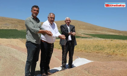 Toprağın Gücüyle Büyüyen Umut: Elazığ’da Mercimek Hasadı Başladı