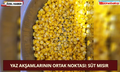Yaz Akşamlarının Ortak Noktası: Süt Mısır