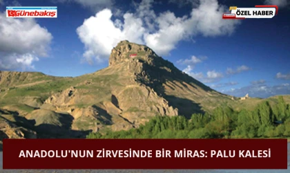 Anadolu'nun Zirvesinde Bir Miras: Palu Kalesi