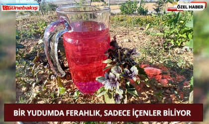 Bir Yudumda Ferahlık, Sadece İçenler Biliyor