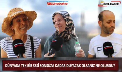Dünyada Tek Bir Sesi Sonsuza Kadar Duyacak Olsanız Ne Olurdu?