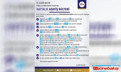 Elazığ'da Bir Haftalık Asayiş Raporu: 244 Şahıs Yakalandı