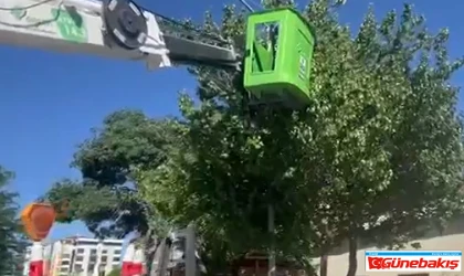 Fırat EDAŞ’tan Doğaya Duyarlı Müdahale: Kuşlar Güvende