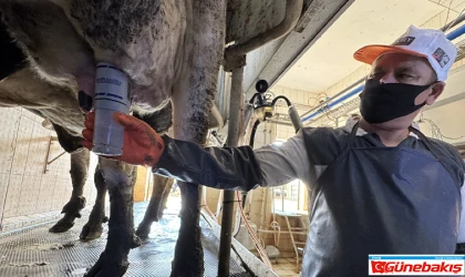 F.Ü’den Mastitis Önleyici Cihaz