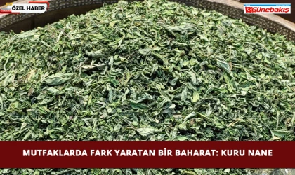 Mutfaklarda Fark Yaratan Bir Baharat: Kuru Nane
