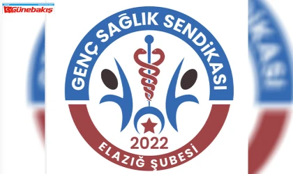 Resmî Verilerle Zirvede: Kamu Birliği ve Genç Sağlık Rekor Kırdı