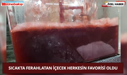 Sıcakta Ferahlatan İçecek Herkesin Favorisi Oldu