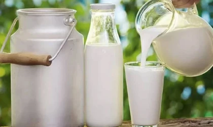 Süt Zammı Açıklandı, Beklentiler Karşılanmadı