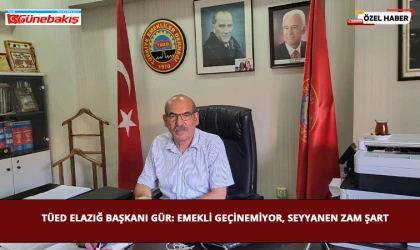 TÜED Elazığ Başkanı Gür: Emekli Geçinemiyor, Seyyanen Zam Şart