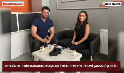Veteriner Hekim Karabulut: Aşıları İhmal Etmeyin, Tedavi Şansı Düşebilir!
